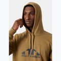 Ανδρικό φούτερ Helly Hansen Nord Graphic Pull Over Hoodie lynx 3