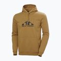 Ανδρικό φούτερ Helly Hansen Nord Graphic Pull Over Hoodie lynx 5