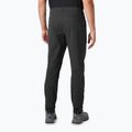 Ανδρικό παντελόνι πεζοπορίας Helly Hansen Vika Tur Pant 2.0 black 2