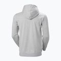 Ανδρικό φούτερ Helly Hansen Nord Graphic Pull Over Hoodie grey melang 2