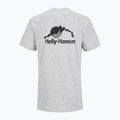 Ανδρική μπλούζα Helly Hansen Nord Graphic grey melang 2