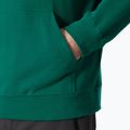 Ανδρικό Helly Hansen HH Logo Hoodie 2.0 emerald 4