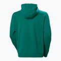 Ανδρικό Helly Hansen HH Logo Hoodie 2.0 emerald 6