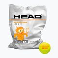 HEAD Tip Orange 72 παιδικές μπάλες τένις πορτοκαλί και πράσινες 578270