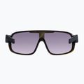 Γυαλιά ηλίου POC Aspire tortoise brown/clarity road/sunny silver 3