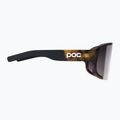 Γυαλιά ηλίου POC Aspire tortoise brown/clarity road/sunny silver 4