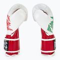 Γάντια του μποξ Cleto Reyes Velcro Sparring red/white green red 4