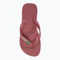 Σαγιονάρες Havaianas Brasil Logo pau brasil 5