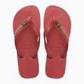 Σαγιονάρες Havaianas Brasil Logo pau brasil 10