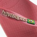 Σαγιονάρες Havaianas Brasil Logo pau brasil 12