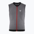 Ανδρικό προστατευτικό γιλέκο Dainese Flexagon Waistcoat 2 silver filigree/castle rock 7