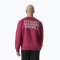 Ανδρικό φούτερ Everlast Neutrals Crewneck μπορντώ 3