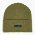 Χειμερινός σκούφος Oakley B1B Gradient Patch Beanie fern