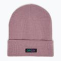 Χειμερινός σκούφος Oakley B1B Gradient Patch Beanie toadstool