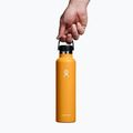 Hydro Flask Standard Flex Cap θερμικό μπουκάλι 710 ml απολίθωμα 3