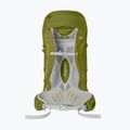 Ανδρικό σακίδιο πεζοπορίας Lowe Alpine AirZone Trek 35 + 10 l fern 2