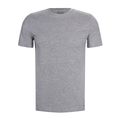 Ανδρικό T-shirt FILA FU5002 grey