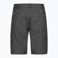 Ανδρικό σορτς Royal Robbins Half Dome charcoal 2