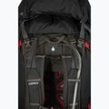 Ανδρικό σακίδιο πεζοπορίας Osprey Aether Plus 100 l black 4