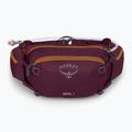 Τσαντάκι μέσης ποδηλάτου Osprey Seral 7 l με waterskin 1.5 l aprium purple