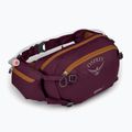 Τσαντάκι μέσης ποδηλάτου Osprey Seral 7 l με waterskin 1.5 l aprium purple 2