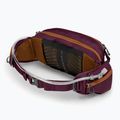 Τσαντάκι μέσης ποδηλάτου Osprey Seral 7 l με waterskin 1.5 l aprium purple 3