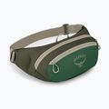 Τσαντάκι μέσης Osprey Daylite Waist green canopy/green creek 2