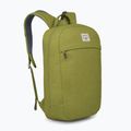 Σακίδιο πλάτης Osprey Arcane Large Day 20 l matcha green heather 2