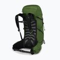 Ανδρικό σακίδιο πεζοπορίας Osprey Talon 33 l green belt/black 3