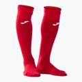 Κιτ τερματοφύλακα Joma Zamora VIII rojo 5