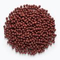 MIVARDI Rapid Boilies Starter Hot Spice 3,5 kg μπάλες πρωτεΐνης 4