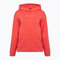 Ανδρικό Calvin Klein Hoodie 97A δροσερό πεπόνι 5