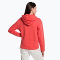 Ανδρικό Calvin Klein Hoodie 97A δροσερό πεπόνι 3