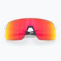 Γυαλιά ηλίου Oakley Sutro Lite matte white/prizm ruby 5