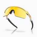 Παιδικά γυαλιά ηλίου Oakley Resistor gold/prizm 24k 4