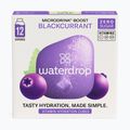 Ισοτονικό ποτό waterdrop Microdrink Boost 12 κύβοι blackurrant/ eldelberry