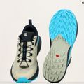 Ανδρικά παπούτσια τρεξίματος Salomon Sense Ride 5 alfalfa/carbon/peacock blue 14