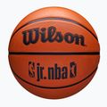 Παιδικό μπάσκετ Wilson NBA JR Drv Fam Logo καφέ μέγεθος 5