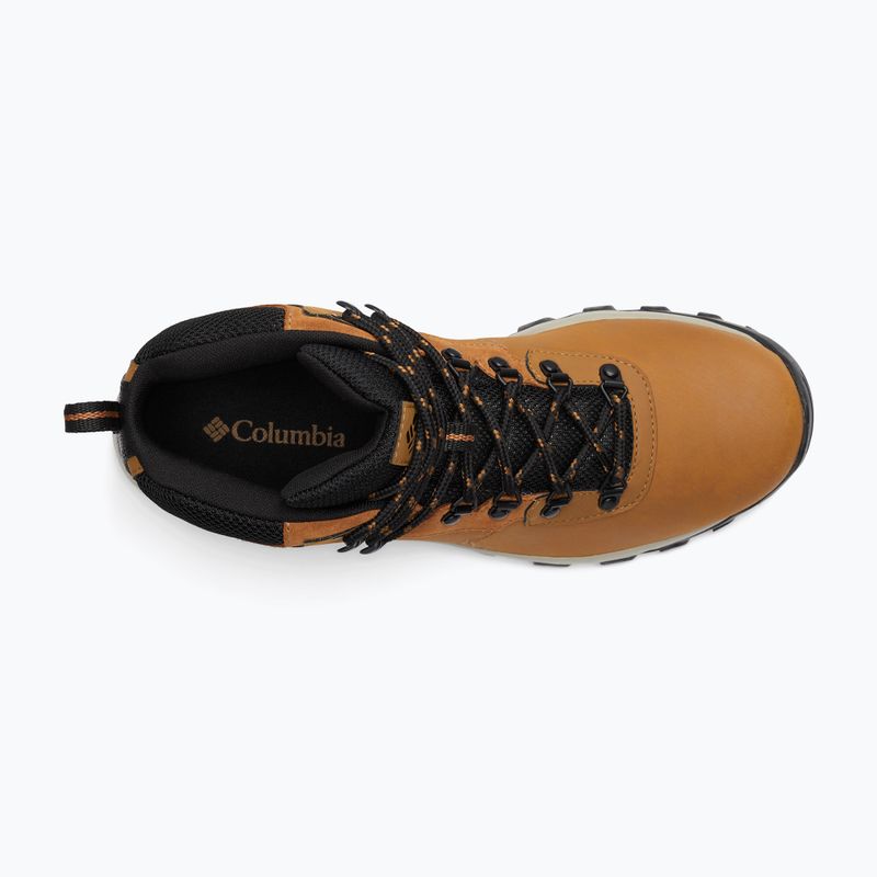 Ανδρικά παπούτσια πεζοπορίας Columbia Newton Ridge Plus II Wp elk/black 15