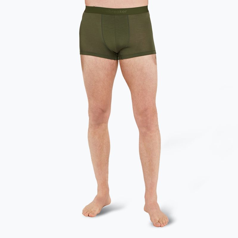 Ανδρικά θερμικά σορτς μποξεράκια icebreaker Merino 125 Cool-Lite Anatomica Trunks loden 2