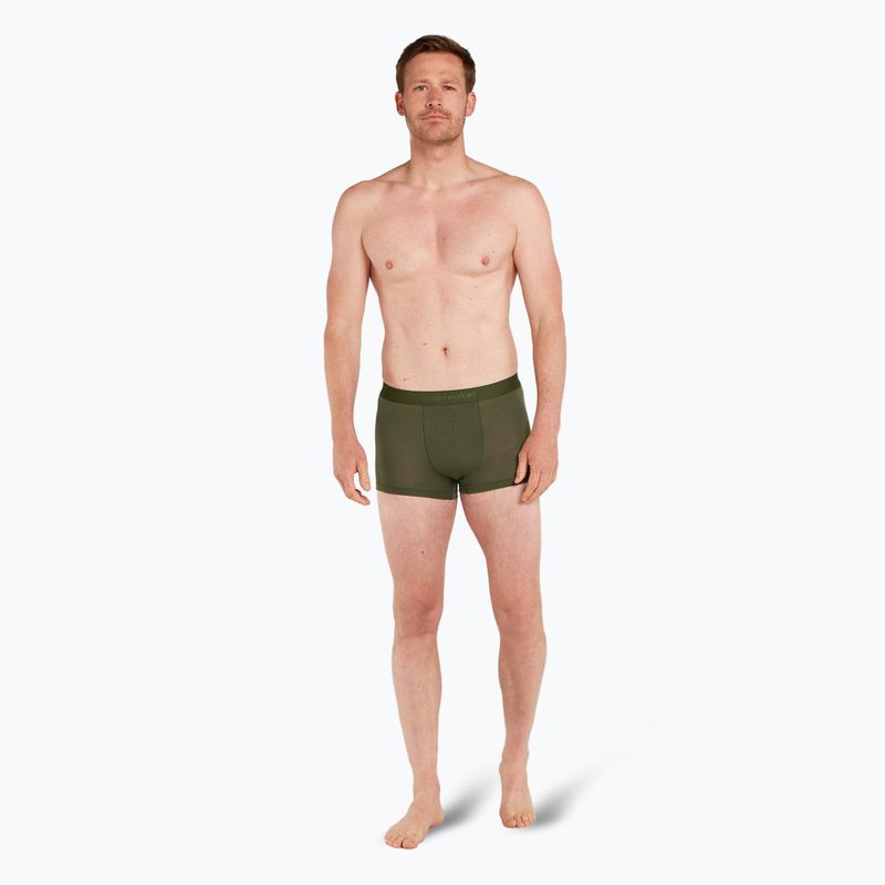 Ανδρικά θερμικά σορτς μποξεράκια icebreaker Merino 125 Cool-Lite Anatomica Trunks loden 3