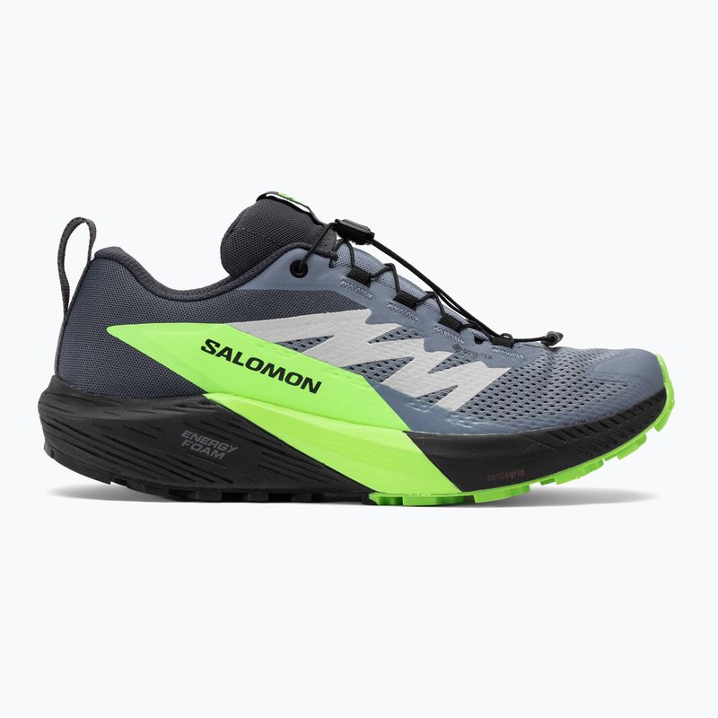 Salomon Sense Ride 5 GTX ανδρικά παπούτσια για τρέξιμο flint stone/μαύρο/πράσινο γκέκο 2