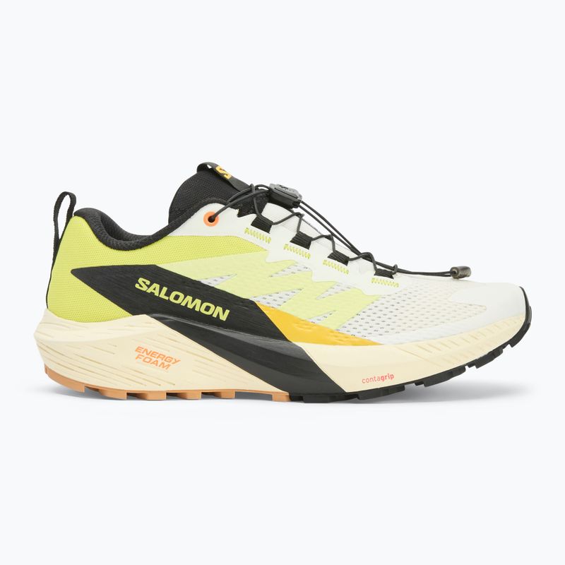 Γυναικεία παπούτσια τρεξίματος Salomon Sense Ride 5 vanila ice/sulphur spring/black 2