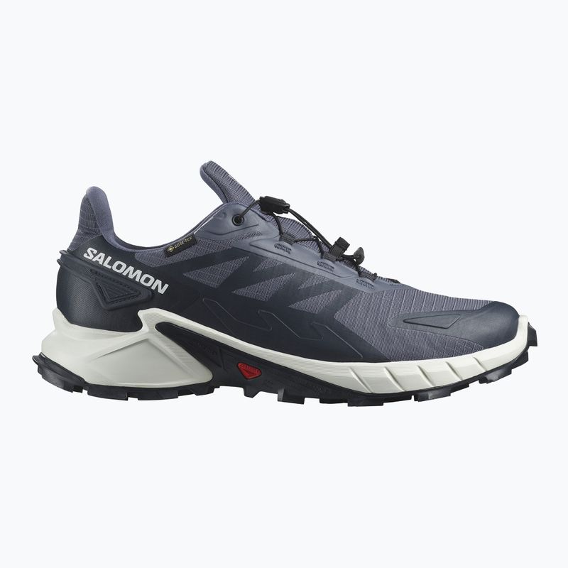 Ανδρικά παπούτσια για τρέξιμο Salomon Supercross 4 GTX grisaille/white/carbon 9