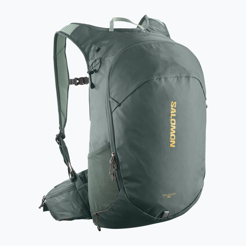 Salomon Trailblazer 20 l σακίδιο πεζοπορίας urban chic/green milieu