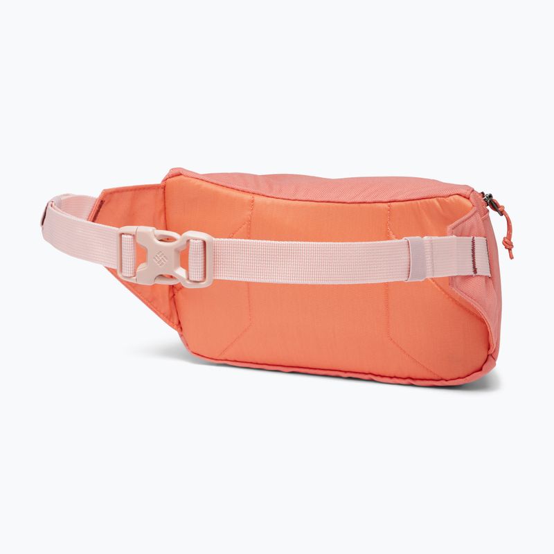 Columbia Zigzag Hip Pack σακούλα νεφρών ξεθωριασμένο ροδάκινο / παντζάρι 2