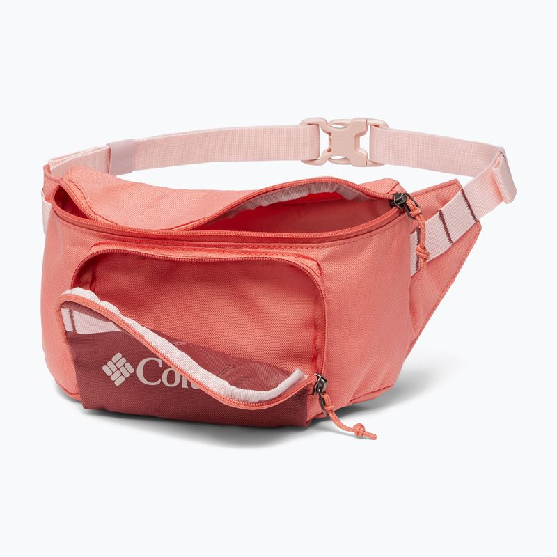 Columbia Zigzag Hip Pack σακούλα νεφρών ξεθωριασμένο ροδάκινο / παντζάρι 3