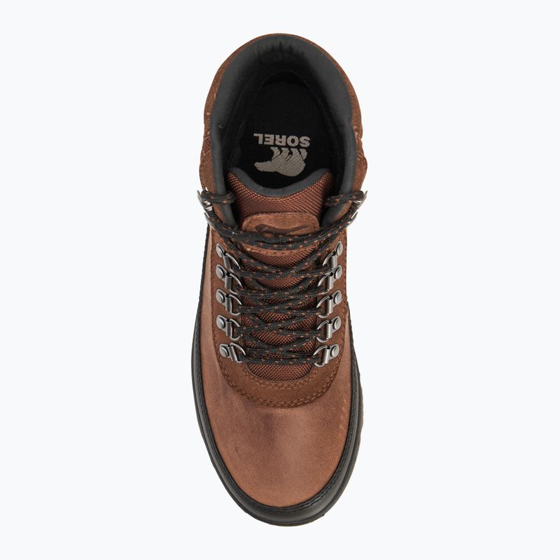 Ανδρικά παπούτσια Sorel Ankeny II Hiker Plus WP tobacco/black 5