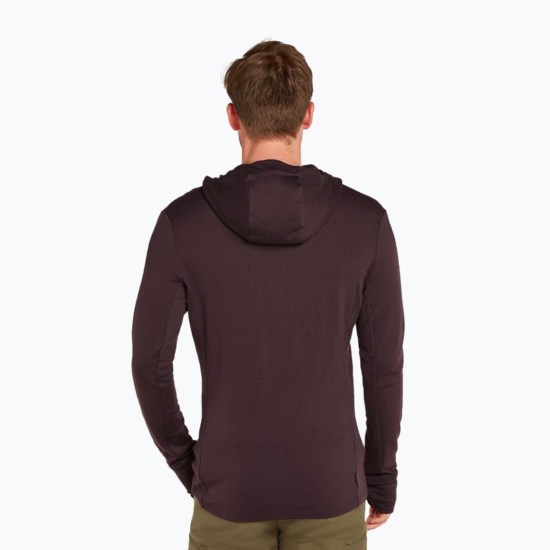 Ανδρικό Icebreaker Merino 260 Quantum IV Zip Hoodie γλυκόπικρο 3