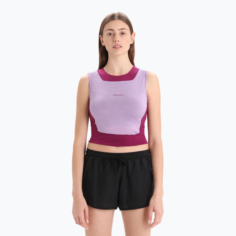 Icebreaker γυναικεία θερμική μπλούζα Zoneknit Cropped Bra-Tank μωβ IB0A56FC8231